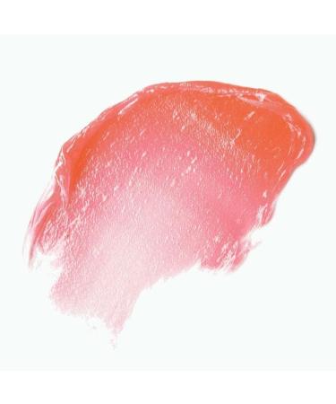 facetheory Lipabalm LP1 - Daily Lip Balm and Lip Conditioner Hydrate and Repair Dry Chapped Lips Vegan Lip Balm Vegan & Cruelty-Free Made in UK | 15 - Buy Online on GoSupps.com