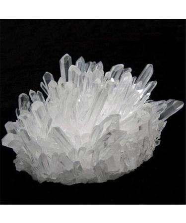 Home Decoration Natural Crystal Cluster Raw Quartz White ReikiStones Crystal Point Specimen Home Decoration Ra Crystals Stones ERTEYIN (Size : 300-350g) - Buy Online on GoSupps.com