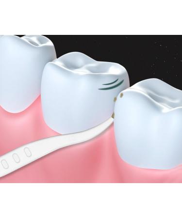 Floss Gang High Strength Professional Flossing Sticks - 300 Count with Carrying Bag | Ideal for Home Hotel & Travel - Buy Online on GoSupps.com