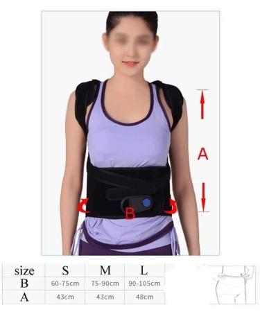 KouRy Pulley Adult Kyphosis Correction Belt - Adjustable Body Shaping Underwear for Male & Female - Large Size Curvature Support - Buy Online on GoSupps.com