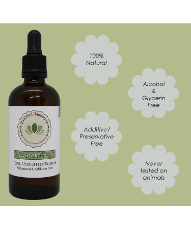 Hawthorn Berry Herbal Tincture (Alcohol & Glycerin Free) 110ml in Glass Bottle with Rubber Pipette (x1) - Buy Online on GoSupps.com