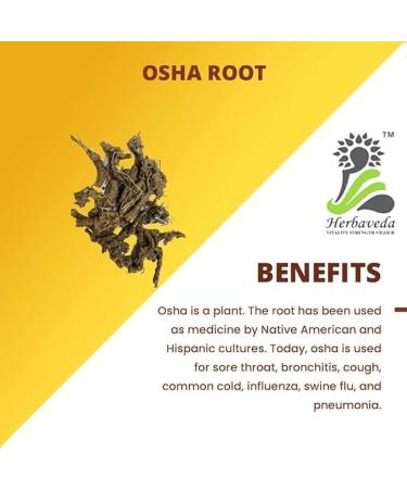 Osha root 100 GM | Promotes digestion - Buy Online on GoSupps.com