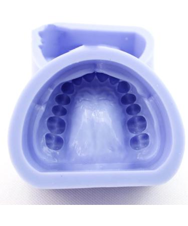 2pcs Dental Plaster Model Mold - Complete Cavity Block for Professional Dental Supplies | International Shipping Available - Buy Online on GoSupps.com
