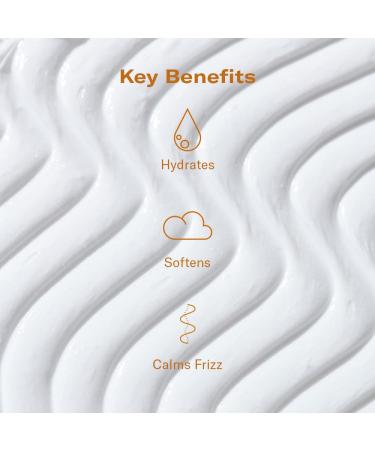 DAE Hair Monsoon Moisture Hydrating Conditioner - 10 oz - Buy Online on GoSupps.com