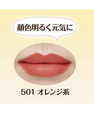  Cezanne Cezanne N501 Long Lasting Lipstick AF27 - Buy Online on GoSupps.com