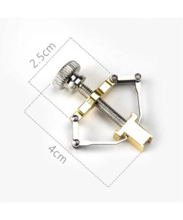 SJLS Pedicure Tool Ingrown Toe Nail Corrector Paronychia Chiropody Podiatry Foot Care Repair Nail Clipper (Color : Silver) - Buy Online on GoSupps.com