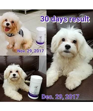 Healthy Breeds Tear Stain Wipes 70 Count - Gentle Solution for French Bulldogs & 200+ Breeds - Buy Online on GoSupps.com