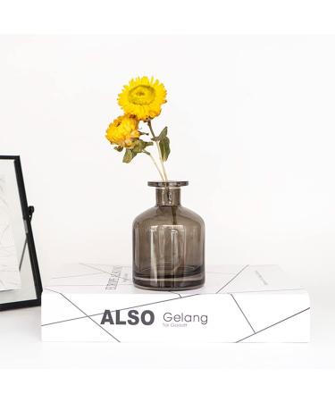 150 ml Empty Glass Diffuser Bottle Aromatherapy Glass Storage Container for DIY & Replacement Sets (Gray) - Buy Online on GoSupps.com