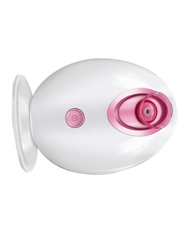 BIUDECO 1pc Facial Care Steamer Portable Face Steamer Portable Steamer Facial Spa Steamer Hair Steamer