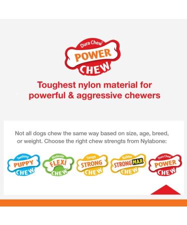 Nylabone Power Chew Dog Toy Keys Bacon Flavour Small/Regular - For Dogs up to 11kg 1 Count (Pack of 1) - Buy Online on GoSupps.com