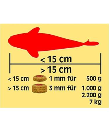 Sera Koi Professional Summer Food 2.2 kg - High-Energy Koi Futter for Optimal Growth & Health Reduced Water Load & Algae Prevention - International Shipping Available - Buy Online on GoSupps.com