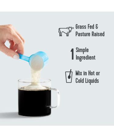 Vital Proteins Collagen Peptides Unflavored 5 oz - Pure Collagen Supplement - Buy Online on GoSupps.com