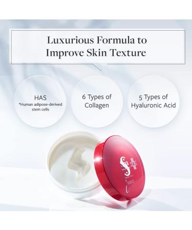 Japanese Spa Treatment HAS Stretch iSheet Under Eye Patches - 60 Sheets - Buy Online on GoSupps.com
