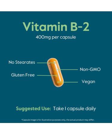 BESTVITE Vitamin B-2 (Riboflavin) 400mg (240 Vegetarian Capsules) (120 x 2) - High Potency Energy Skin & Cellular Health Healthy Nervous System Support Vegan Gluten Free - No Stearates 240 Count (Pack of 1) - Buy Online on GoSupps.com