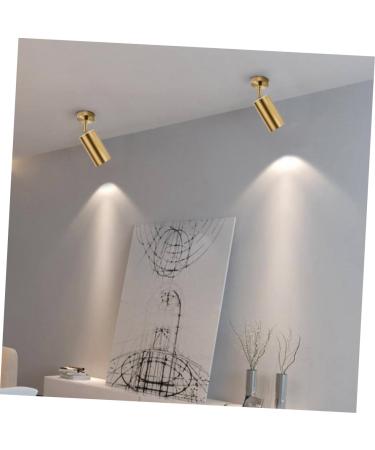 Ciieeo Spotlight Uplight Ceiling Lighting Spot Lights Adjustable Ceiling Light Track Light Clothing Golden 16*6cm - Buy Online on GoSupps.com