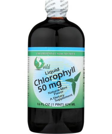 Chlorophyll Liquid-50mg/Mint World Organics 16 oz Liquid by World Organics