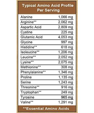 Fusion Plant Based Vegan Protein - Cafe Mocha | Best Gluten-Free Sugar-Free Sports Meal Replacement Shake | 12 Servings by Fusion Diet Systems - Buy Online on GoSupps.com