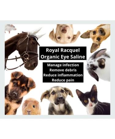 ROYAL RACQUEL Organic Eye Saline 8 oz for Irritation & Pain Relief, Debris Removal, and Swelling Reduction - Apply Daily - Buy Online on GoSupps.com