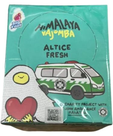Bonbons Sal s Altice Fresh Himalaya Sports - 12 Sachets de 15g - Confiserie Rafra chissante Sport - Bonbons Fra cheur Intense Naturelle - Buy Online on GoSupps.com