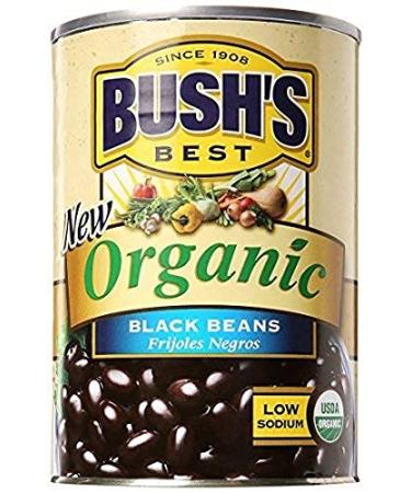 BUSH'S BEST Organic Beans 15 Ounce Can Canned Beans USDA Certified Organic Source of Plant Based Protein and Fiber Low Fat Gluten Free (Pack of 12)