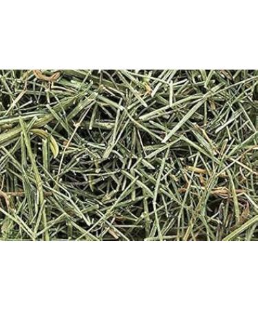 JEVR Chirayta Chiraita Chiraita Chiretta Bitter Stick Swertia Chirata Dry (900 g) - Buy Online on GoSupps.com