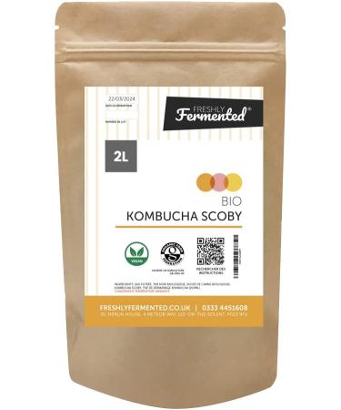 Organic Vegan Kombucha SCOBY - Freshly Fermented (2 Litre) - Buy Online on GoSupps.com
