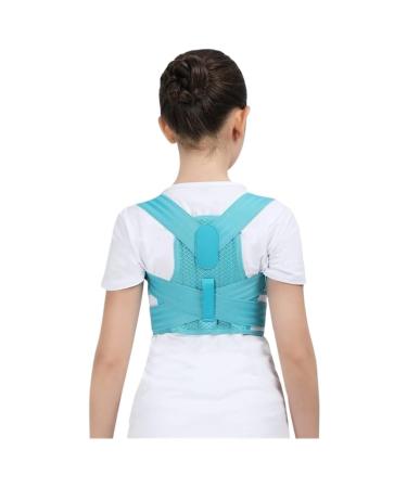 Back Support Back Brace Lumbar Support Back Posture Corrector Orthopedic Corset Shoulder Lumbar Spine Decompression Back Support Belt(Blue Small) Small Blue