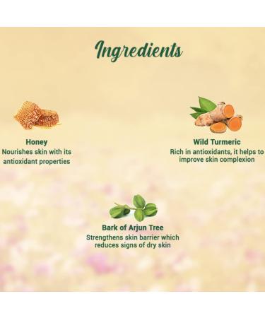Biotique Bio Honey Gel Hydrating Face Wash - 100ml | All Skin Types | Enriched with Honey for Radiant Skin - Buy Online on GoSupps.com