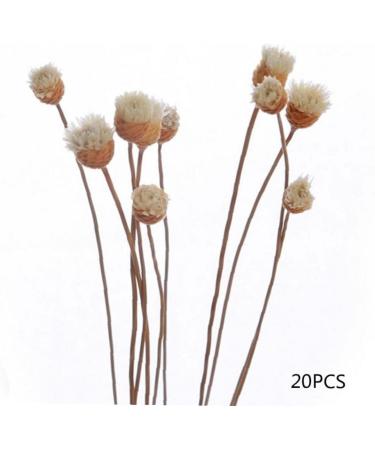 20 Rattan Diffuser Sticks for Essential Oils | Rose Replacement Refills for Home Bedroom Bathroom - Buy Online on GoSupps.com