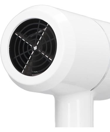 Portable Hair Dryer US Plug 110V Portable Hair Blower Negative Ion for Home - Buy Online on GoSupps.com