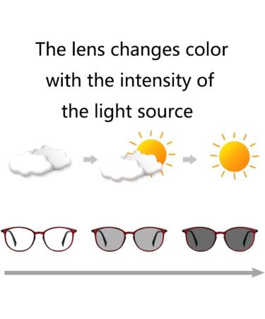 Dibako Photochrome Bifocal Reading Glasses for Men & Women - Anti Blue Light Purple Tortoiseshell +2.50 Reading Sunglasses - Buy Online on GoSupps.com