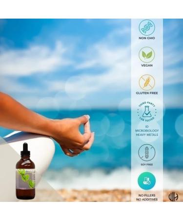 Buhner's 3 Herbs CSA Babs Blend Herb Tincture Extract 4 oz 4 Fl Oz (Pack of 1) - Buy Online on GoSupps.com