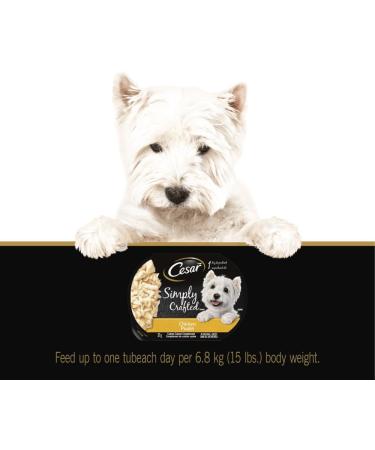 CESAR Simply Crafted Wet Dog Food Chicken Flavour 37g Pack of 10 - Buy Online on GoSupps.com