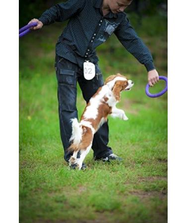PULLER Standard 28 cm Interactive Dog Toy Fitness Tool Set - Buy Online on GoSupps.com
