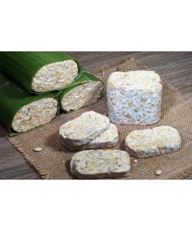 Buy Tempeh Starter Set - 1KG Peeled Soybeans (Rhizopus Oligosporus) - Make Up to 75KG of Homemade Tempeh - Worldwide Shipping - Buy Online on GoSupps.com