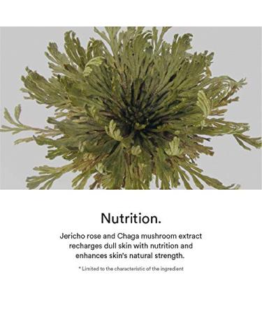 Abib Jericho Rose Cr me 75ml - Intensive Nutrition Tube for Radiant Skin - Buy Online on GoSupps.com