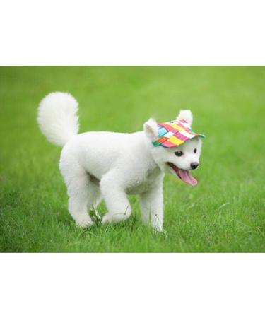 BbearT Pet Hats - Casual Sun Hat with Visor for Small Dogs (S Red Letters) - Stylish & Comfortable Dog Accessories - Buy Online on GoSupps.com