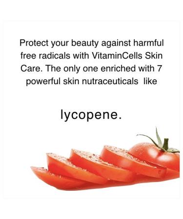 Ecco Bella Plant-Based Night Cream | Anti-Aging Moisturizer with Hyaluronic Acid Vitamin C & E | 2oz - All Natural International Shipping Available - Buy Online on GoSupps.com