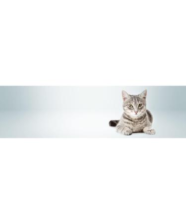 Kattovit Urinary Drink with Chicken | Pack of 6 | 6 x 135 ML | Complementary food for cats prone to recurrent struvite stones | May help increase fluid intake - Buy Online on GoSupps.com