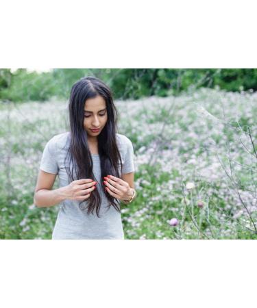 LINK-D Bond Builder Shampoo N 0 1000 ml - Strengthen & Repair Hair | International Shipping Available - Buy Online on GoSupps.com