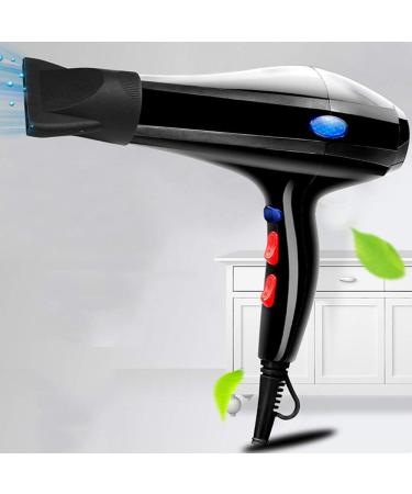 Professional Ionic Hair Dryer Salon Lightweight Professional Power 2200 watts Hair Dryer That Heats Well with a Sufficient Airflow to Fast Drying Time and Low Noise Fast Airflow Concentrator small - Buy Online on GoSupps.com