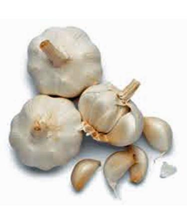 FRESH California Softneck Garlic Bulb 12oz - Planting and Eating, Country Creek Brand - Buy Online on GoSupps.com