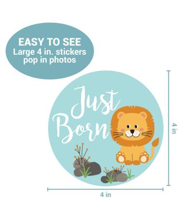 Zoo Animals Baby Monthly Stickers - Jungle Milestone Set for Boy/Girl | Unisex Safari Newborn Monthly Milestones (Set of 24) - Buy Online on GoSupps.com