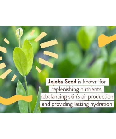 Babo Botanicals Swim&Sport Mineral Sunscreen Balm SPF50 | Zinc Oxide | Face & Body | All Ages | Dermatologist Tested | Cruelty-Free | Fragrance-Free | Water Resistant | 2 oz - Buy Online on GoSupps.com