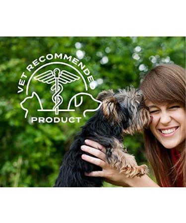 PetAction Plus for Small Dogs - 3 Doses (0.023 fl oz) | Effective Flea & Tick Prevention - Buy Online on GoSupps.com