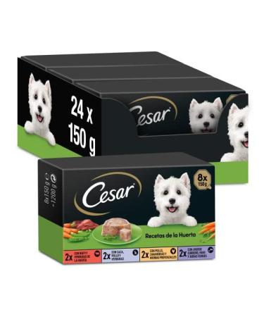 Cesar Wet Dog Food Vegetable Garden Recipes in Pâté and Jelly, Multipack 3 x 8 Pots x 150 g
