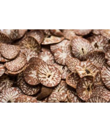 Betel nut small cut 200g Supari nut sliced small Areca Nuts - Buy Online on GoSupps.com