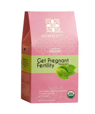 Secrets Of Tea Fertility Tea with Organic Chasteberry And Red Raspberry Leaf to Help With Conception  Ovulation and Regular Menstrual Cycles  40 Cups  20 Count (1 Pack)
