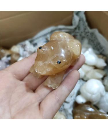 Specimen 1pc 50mm Natural Orange Calcite Stones and Crystals Carved Rock Crystal Frog StatueStone Stone Crystal Reiki - Buy Online on GoSupps.com