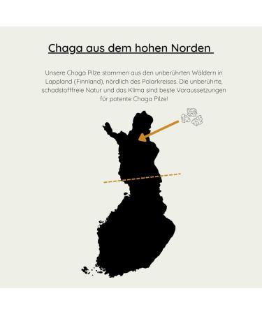 Organic Chaga Mushroom - Wild Collection from Finland - 100g for Chaga Tea - Natural Untreated & Pollutant-Free - Buy Online on GoSupps.com